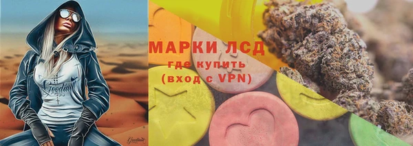 ECSTASY Ельня