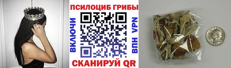 Псилоцибиновые грибы прущие грибы  Уссурийск 